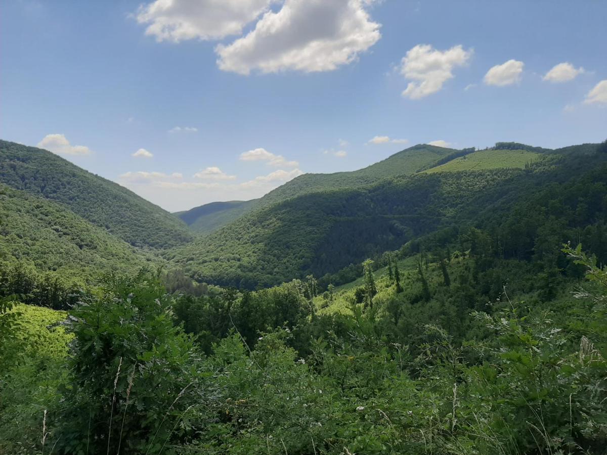 E-Tekergok Haza Hotel Bukkzserc Bagian luar foto